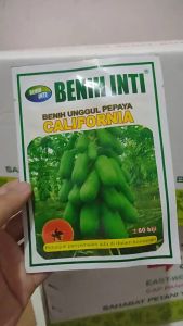 Benih Biji Seed Unggul Pepaya California 60 Butir
