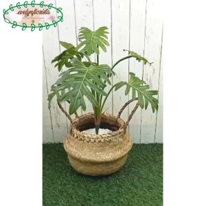 Pohon Daun Jari Philo X7 Latex Imitasi Pot Dasar Hitam Cover Purun Belly Hiasan Aesthetic Meja Tamu