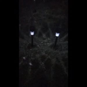 Stainless Steel Outdoor LED Solar Light 1 Piece Waterproof Energy Saving Fence Garden Decoration Lampu Solar