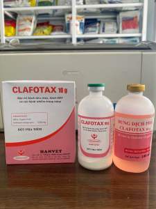 CLAFOTAX 10g hanvet bột pha tiêm xử lý các trường hợp viêm ruột tiêu chảy viêm khớp viêm zú viêm da cho gia súc gia cầm
