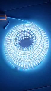 RGB LED Strip Light Remote App 220V SMD5050 Waterproof Flexible lights 60leds/m with Remote Controller