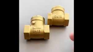 DN50 40 32 25 20 15 Brass Horizontal Check Valve 2" 1" 1/2" BSP Female Thread Swing Non-return Valves