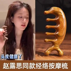 Zhao Lusi Same Style Massage Comb Dredge Head Meridian Ebony Five-Tooth Comb Scalp Treatment Student Girls Special