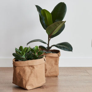 Scandinavian Washable Kraft Paper Bag Flowerpot Ins Style Home Storage Bag Refrigerator Vegetable Storage Green Plant Succulent Flowerpot