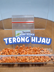 Benih Terong Hijau Unggulan berkualitas biji keriting bibit hydroponik hidroponik sayuran sayur