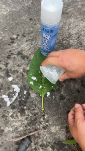 SG【READY STOCK】Quick Cooling Spray Cooling body spray Cooling Spray Instant -20℃ Cooling Spray Cooling Gadget Indoor Cool Spray Dry Ice Device Liquid Nitrogen Instant Freezing Dry Ice