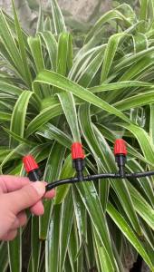 10-50M Garden Watering Misting Irrigation System Automatic Garden Water Set Mist Nozzle with 4/7mm Tee Spray Irrigation Kit