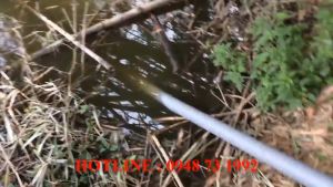 Máy bơm nước chạy xăng MINLONG 152 (1150W) - Ống Phi 76mm - Động Cơ 4 Thì - Bảo Hành 12 Tháng