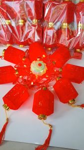 Đèn led - dây lồng đèn Hồng Phúc trụ nhựa bọc nhung đỏ dài 5m 8 đèn trang trí các dịp lễ Tết nhà cửa sân vườn...