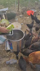 Multifunctional Animal Feed Grinder Commercial Hay Cutter Forage Chopper Green Grass Silage Cutter for Farm Livestock