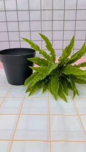 PT63 Pot Tanaman Hias Daun Pakis Plastik Ornamen Pot Bonsai Artificial Flower Decoration Tanaman Bunga Plastik Dekorasi Rumah