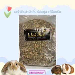 ใหม่ แนะนำ Lucky Lucene Chaff หญ้าอัลฟาฟ่าสับ ร่อนฝุ่น พรีเมี่ยม 1 Kg.