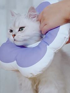 Cat collar Elizabeth circle Pet Flowers Cute Soft Pet Sterilization Ring Pet Dog anti licking and anti biting collar