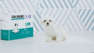 Mung Mung Pad Regular ม็อง ม็อง แพ็ด แผ่นรองฉี่สุนัขเกรดพรีเมี่ยมนำเข้าจากเกาหลี ขนาด 40*50 cm