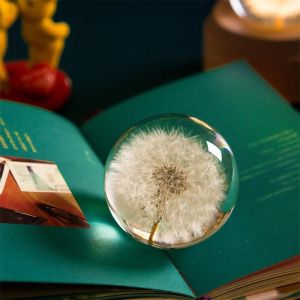 Fantastic Flower Crystal Ball Magic Atmosphere Decorate Anywhere Fantastic Ball Birthday Christmas Gift Bedroom Decoration