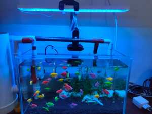 Ice Blue Lampu LED Strip USB Saklar Untuk Aquarium Hemat listrik Bisa Menggunakan Power Bank