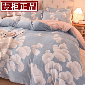 Winter Thickened Milk Velvet Coral Fleece Four-Piece Bedding Set Double-Sided Warm Flannel Bed Canopy Style 2025 New