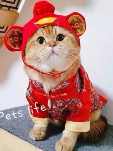 Quần Áo Mèo Năm Mới Quần Áo Mèo Ngắn Anh Quần Áo Mèo Ngắn Mỹ Quần Áo Mèo Trẻ Quần Áo Mèo Chống Rụng Lông Quần Áo Mèo Mùa Đông Quần Áo Mèo