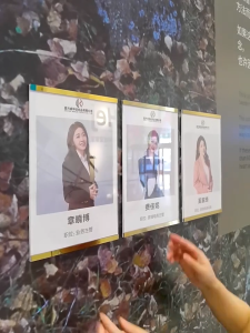 Mirror Gold Magnetic Acrylic Photo Display Frame for A4 Size Horizontal and Vertical Orientation