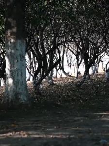 Foldable Table Outdoor Camping Folding Table Barbecue Multifunction Outdoor Folding Tables