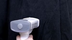 Toyomi Portable Travel Clothes & Garment Steamer GS 520