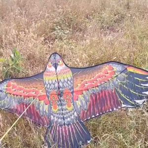 ว่าว นกอินทรีย์ 180 ซม. โครงหลัง ว่าวไล่นก ว่าวไล่ศัตรูพืช แถมเชือก 50 เมตรฟรี