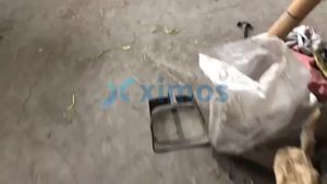 Xximos 13mm - 50mm Pulley Cast Irion Single Sheave Pulley For Rope Or Cord Indoor And Outdoor