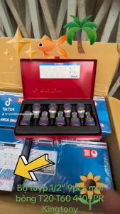 Bộ tuýp 1/2″ 9pcs mũi bông t20-t60 4109PR Kingtony