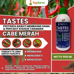 Obat Penyakit Tanaman Cabe: Solusi Ampuh untuk Menangani Penyakit dan Hama pada Pohon Cabe
