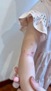 PIGEON Botanical Baby Wash 2in1 | Head to Toe | Sabun dan Sampo Bayi Cocok untuk Kulit Sensitif