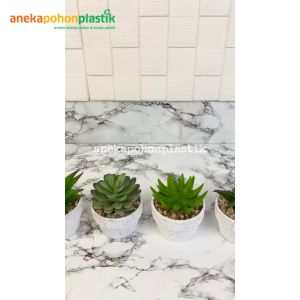 Aneka Tanaman Hias Mini Succulent Tiger Tooth Echeveria Plastik Artificial Pot Bulat Putih Bintik Hitam Keramik Bunga Hias Meja Kantor Bunga Hias Meja Kerja