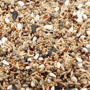 Suitable For Cockatiel & All Small Size Parrot mix seed 21 jenis 1kg