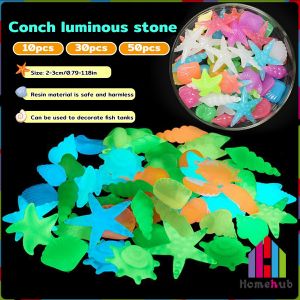 HB Colorful Luminous Stones Starfish Conch Shaped For Aquarium Walkways Garden Decorative 2-3cm