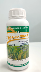 phân bón VÀO GẠO NHANH - Lúa vào gạo nhanh to hạt vàng sáng xanh bộ lá đòng (Chai 500ml)