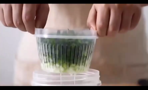 Condiment Fresh Box / 2in1 Toples Tirisan Serbaguna