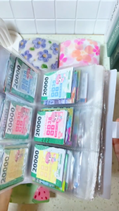 Mushion Album Menabung 1–240 Slot Bisa Kumpul 28 Juta Bonus Stiker Warna Pulpen Gel 3 Pouch Nabung Motif Kupu-Kupu Buah
