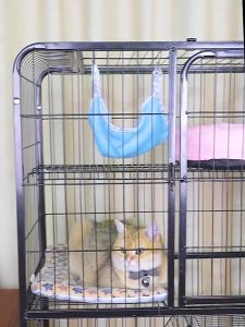 😺กรงแมว 2ชั้น กรงขังแมว ประกอบง่าย กรงแมวพับได้ กรงแมวขนาดใหญ่ กรงเเมวขนาดใหญ่ ตะแกรงทำกรงแมว กรงแมวแบบวิลล่าสี่ชั้น สำหรับสัตว์เลี้ยง Pet Cage