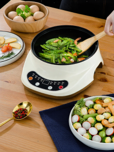 Multi-Functional Electric Cooking Pot for Boiling Frying and Steaming