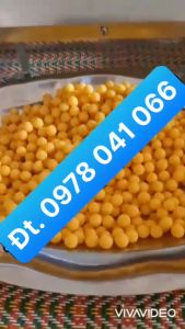 Máy làm viên tễ viên hoàn đông y kích cỡ 6/8/10/12 mm DZ20