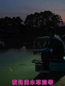 XIAOFENGXIAN | Sensitive Color-Changing Day Night Fishing Float