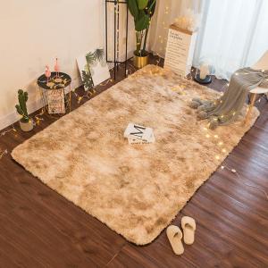Gradient Dye Fluffy Rug Carpet Long Plush