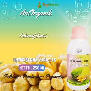 Pupuk Pelebat Buah Cempedak / Pupuk Buah Cempedak / Pupuk Nangka Cempedak / Pupuk Buah Biar Cepat Berbuah / Pupuk Buah Super Lebat