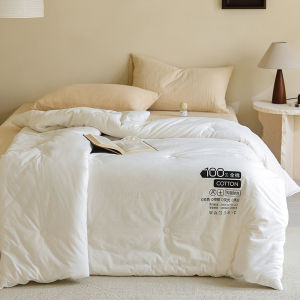 Class a Pure Cotton Antibacterial Soybean Summer Air Conditioning Quilt Single Double Bedding Spring Autumn Winter Letter Quilt