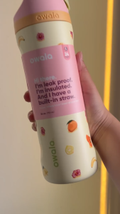 Owala FreeSip 24 oz Just Ripe Stainless Steel Water Bottle Insulated Leak Proof BPA - Free