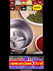 【รับประกัน 1ปี】Alexd เครื่องปั่นบด เครื่องปั่นไฟฟ้า 500W เครื่องบด ใบมีด 6 แฉก เครื่องบดพริก เครื่องบดกาแฟ เครื่องใช้ครัว อาหารเด็ก ของแท้ 100%