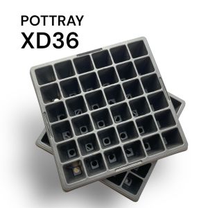 Mini pottray XD36  alat semai Original