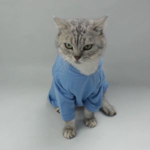 Baju Kucing Anjing Cewek Cowo Lucu Murah 3 pcs 5 Ribu - Bukipet Sahur Night Hoodie Ramadhan Series