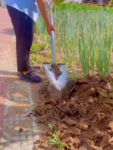 Steel Shovel Pointed & Flat Square Pala Heavy Duty for Construction Gardening Digging