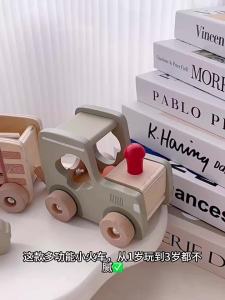 Cognitive Development Wooden Toy Set