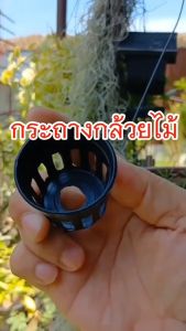 กระถางกล้วยไม้กลมดําโปร่ง ขนาด 1 นิ้ว 100 ใบ